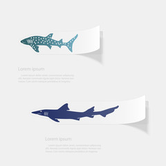 Shark. Flat sticker with shadow on white background