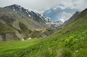 Obraz premium Hill covered with green grass. In the distance you can see high mountains partially covered with snow. Overcast summer day in Caucasus mountains in Georgia.