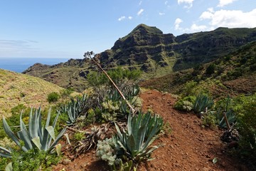 Teneriffa - Wandern im Anaga-Gebirge