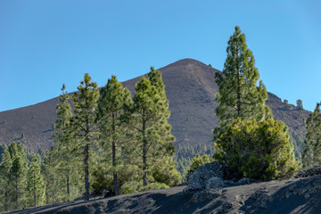 La Palma - Vulkanische Landschaften auf der Route der Vulkane - LP301