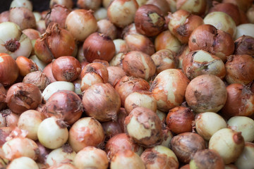 Onions for sale at the Fair