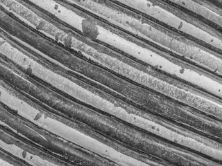 Abstract black and white stripes pattern of ceramic texture for background.