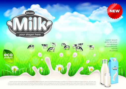 Milk ads. Cows on green field farm vector background