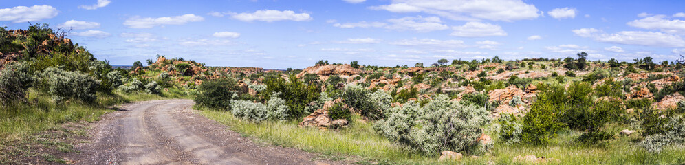 Panoramic scenery in Mapungubwe National park, South Africa