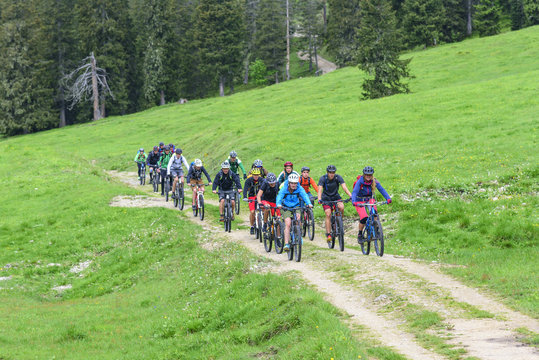 größere Mountainbike-Gruppe gemeinsam unterwegs