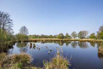 Water Reflections on Lake De Witt / Germany