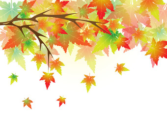 Fototapeta na wymiar Concept and idea colorful autumn maple leaf background. Vector EPS10
