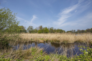 Beautiful View to Lake de Witt / Germany