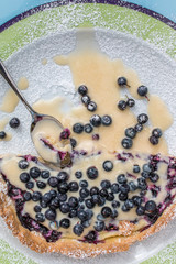 Half blueberry pie with vanilla cream and powder sugar on plate closeup top view 