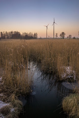 Fototapeta na wymiar Sumpfgebiet mit Windkraftanlagen am Horizont