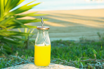 Glass Bottle with Freshly Pressed Tropical Fruits Juice Straw Standing on Rock at Beach. Green Palm Tree Leaves Succulents in Background. Blue Sky Golden Sunlight Turquoise Sea.