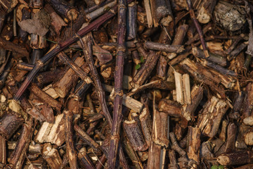 Sticks & Stones