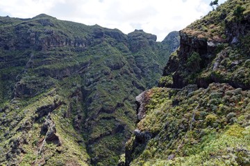 Teneriffa - Wandern im Anaga-Gebirge