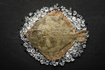 Fresh turbot fish on ice on a black stone table top view