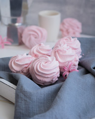 Russian Zephyr or marshmallow on the white background