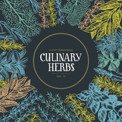 Hand drawn culinary herbs and spices. Vector background for design menu, packaging, recipes, label, farm market products. Hand drawn vintage illustration. Botanical banner template.