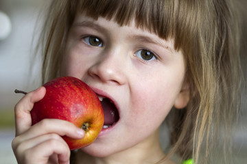 A cute little curly toothless girl smiles and holds a red apple. Portrait of a happy baby eating a red apple. The child loses milk teeth. Healthy food nutrition.