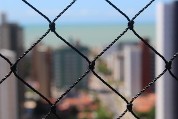 the fence