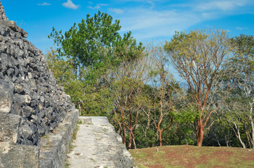 Fototapeta na wymiar Close up of the walls of El Castillo pyramid at Xunantunich archaeological site of Mayan civilization in Western Belize. With trees and blue sky background. Central America