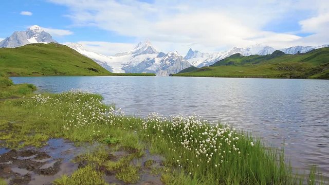 fabulous beautiful landscape with waves on the lake in the Swiss Alps, Europe. Wetterhorn, Schreckhorn, Finsteraarhorn et Bachsee.