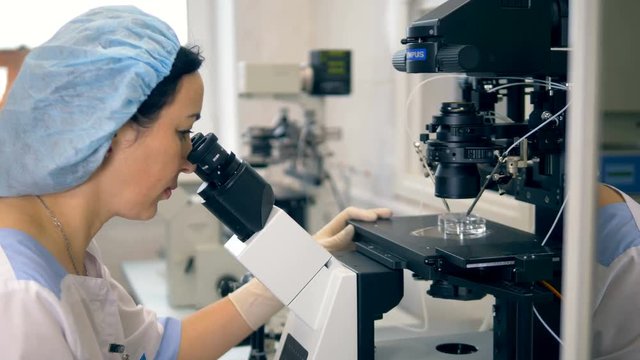 Woman scientist microbiologist working with microscope. 4K.