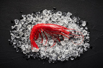 Fresh big red shrimp on ice on a black stone table top view - obrazy, fototapety, plakaty