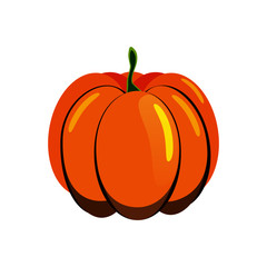 Vector flat illustration of ripe pumpkin