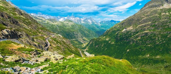 Summer Alpine Panorama