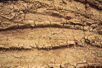 wheel tracks on rural dirt road