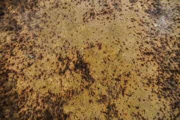 Grunge rusted metal texture. Abstract rusty metal texture background. Rusty metal grunge background. Grunge texture background