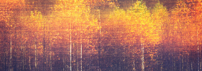 Plakaty  Baner internetowy jesienne teksturowe tło sceniczne z rozmyciem ruchu, stonowane w stylu vintage