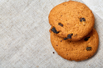 Chocolate chips cookies isolated on light background, macro, close-up, shallow depth of field, selective focus