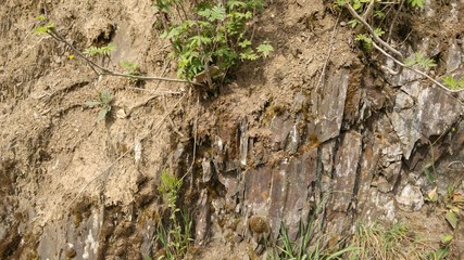 Felsen