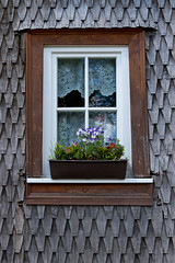 Alte Hausfassade mit Holzfenster