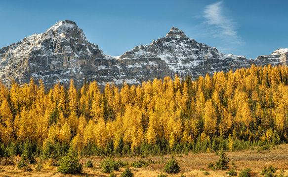 Autumn Larch Valley hike from Lake Moraine