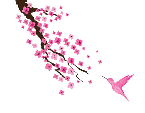 Vector Cherry Blossom