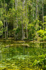 Emerald pool Thailand