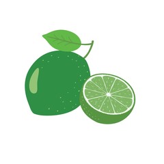 Lime Fruit Vector illustration