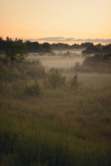 Landscape with a fog at sunrise. On the horizon of the forest and the village is buried in the clouds. Bright colorful morning in the springtime.