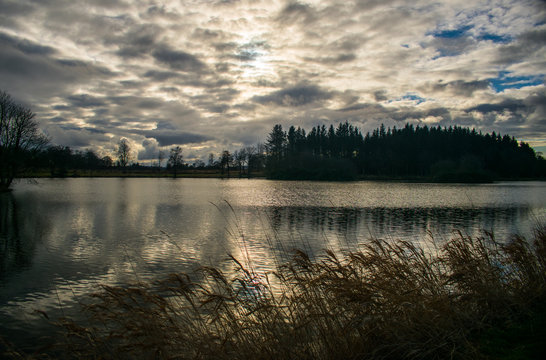 Pitfour Lake, Old Deer, Aberdeenshire, Scotland.