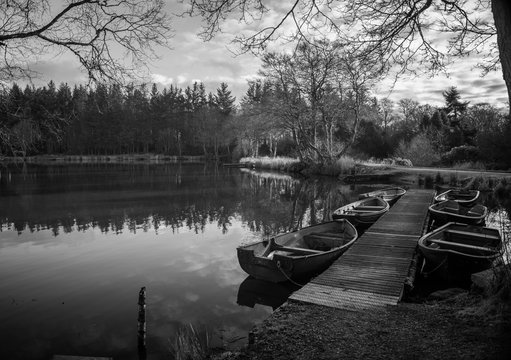 Pitfour Lake, Old Deer, Aberdeenshire, Scotland.