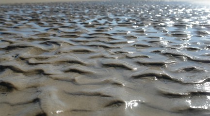 sable gorgé d'eau, Jekyll Island USA