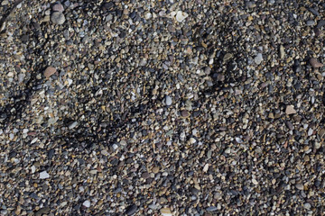 Piedras en la orilla