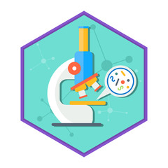 Laboratory equipment. Chemical and physical science experiments, research. Flat vector cartoon illustration. Objects isolated on a white background.