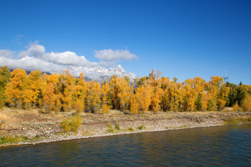 Fototapeta premium Grand Teton