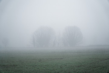 Fototapeta na wymiar Landscape of dense fog in the field and silhouette of trees in warm winter
