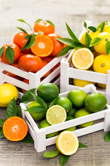 Fresh citrus fruits - lime, lemon and tangerine in the crate