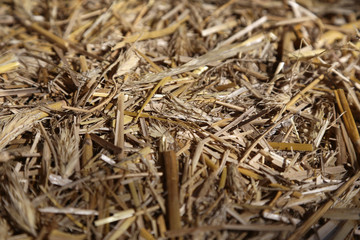 Stroh für Pferde auf einem Ponyhof