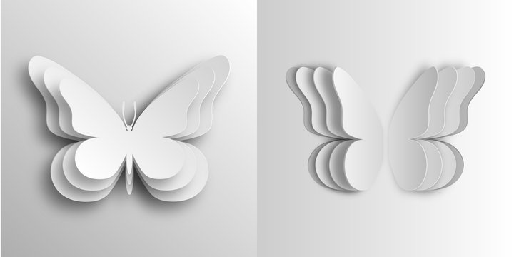 Volumetric butterflies in paper style made of cardboard. In two versions. 10 eps