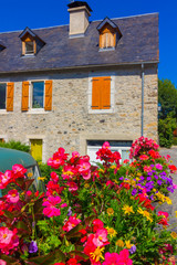 Fototapeta na wymiar Houses with flowers in towns of the pyrenees in huesca, Spain